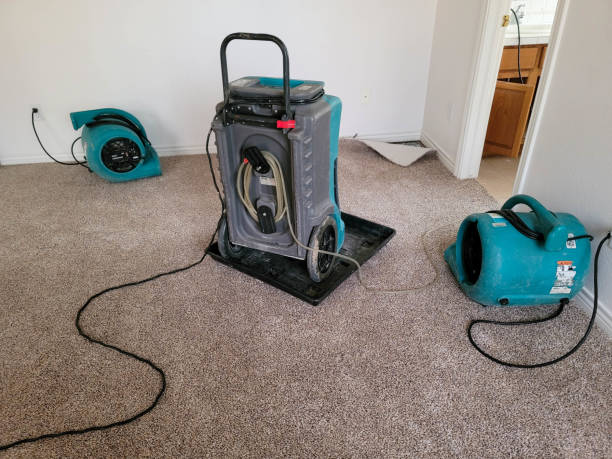 Best Water damage cleanup near me  in Brickerville, PA