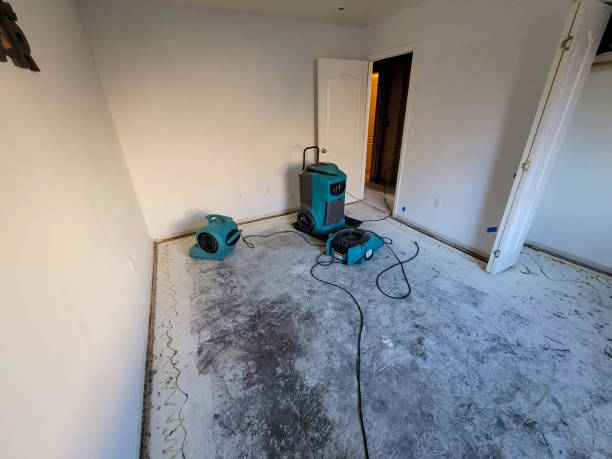 Best Mold removal after water damage  in Brickerville, PA