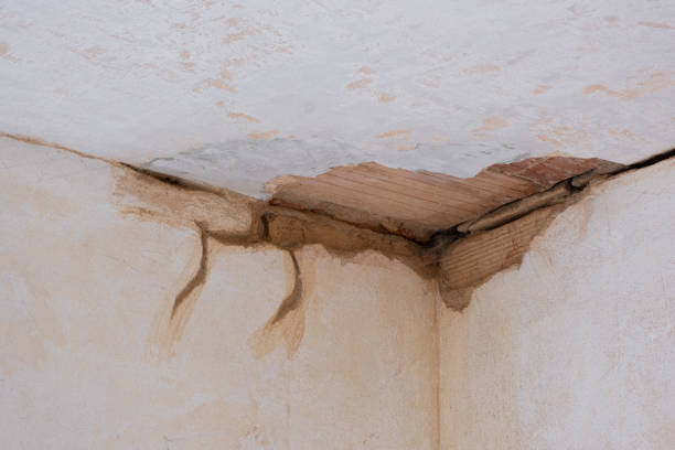 Best Ceiling water damage repair  in Brickerville, PA