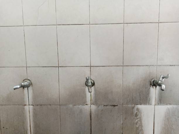 Best Water damage restoration near me  in Brickerville, PA
