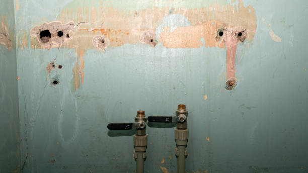 Best Flood restoration services  in Brickerville, PA