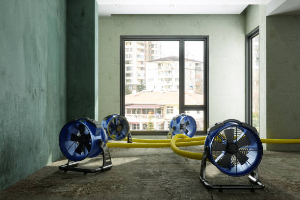 Best Professional water damage repair  in Brickerville, PA